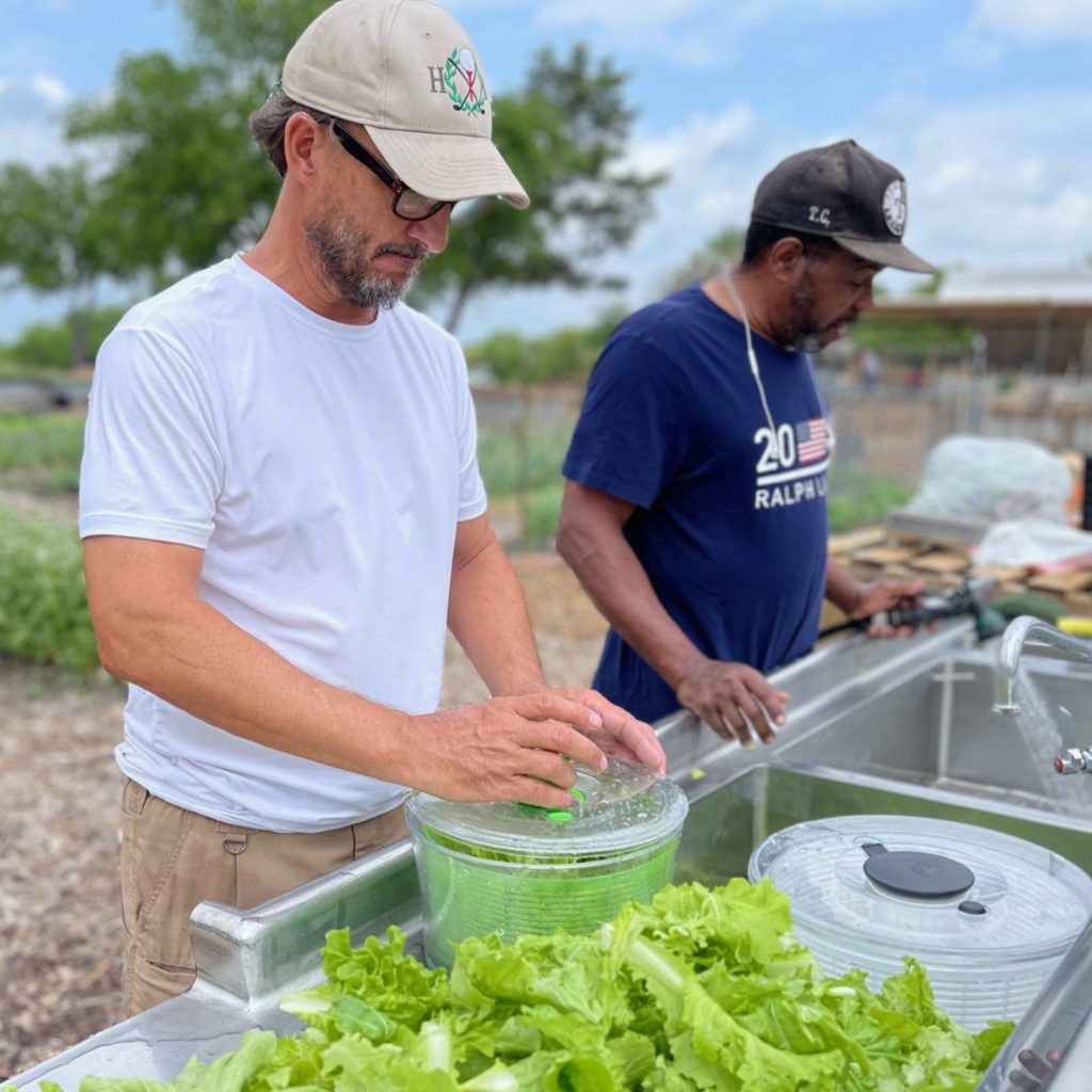 washing lettuce